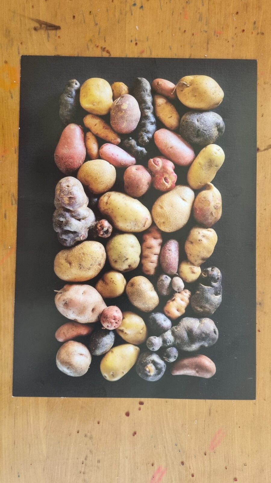 Foto Kamera Bergkartoffeln