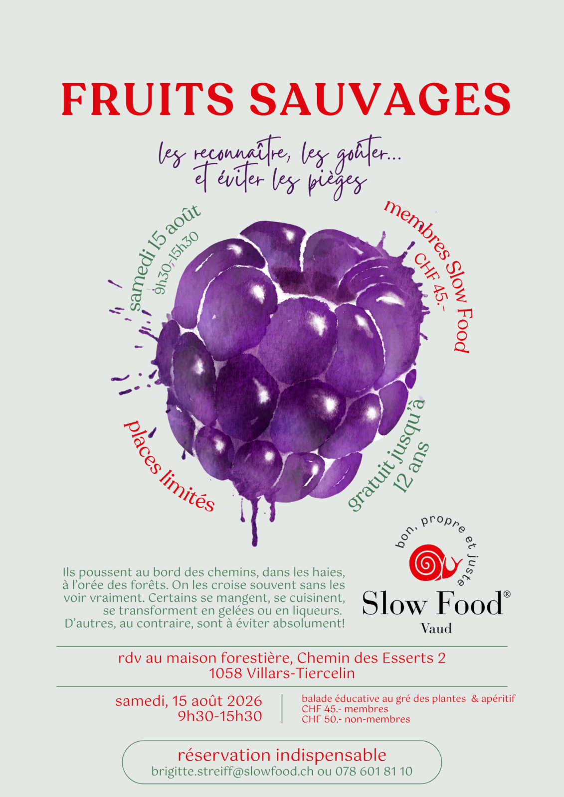 Fruits sauvages affiche