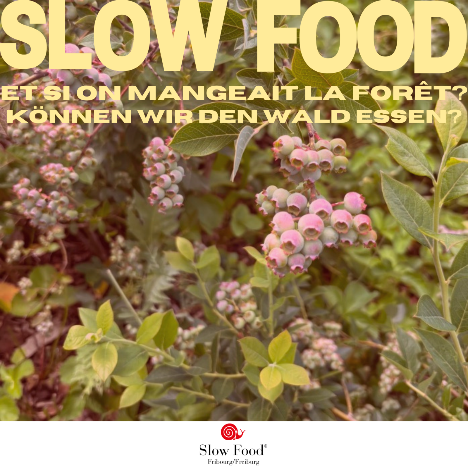 Manger la foret 1