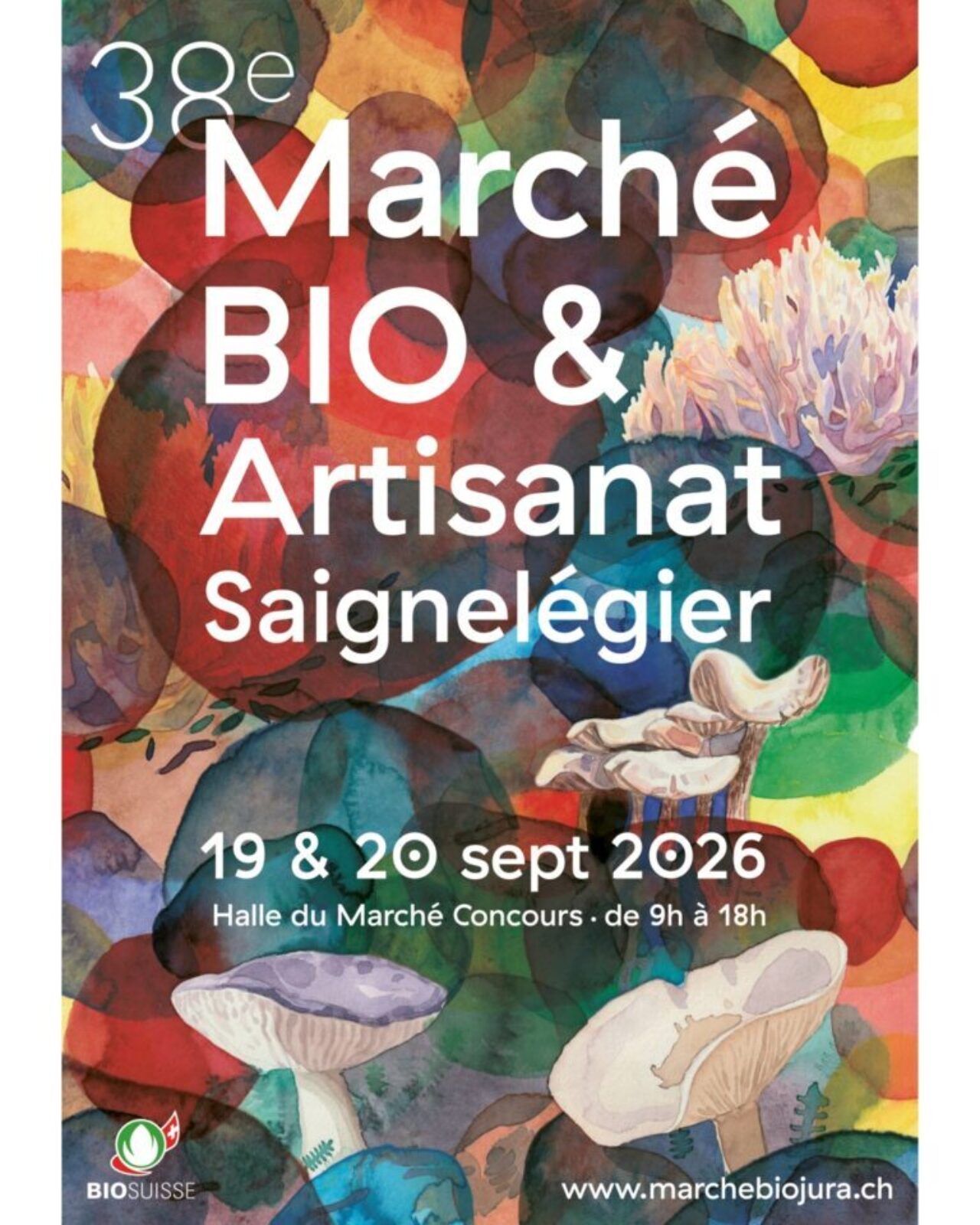 Marche bio insta portrait 4 5 2 768x960