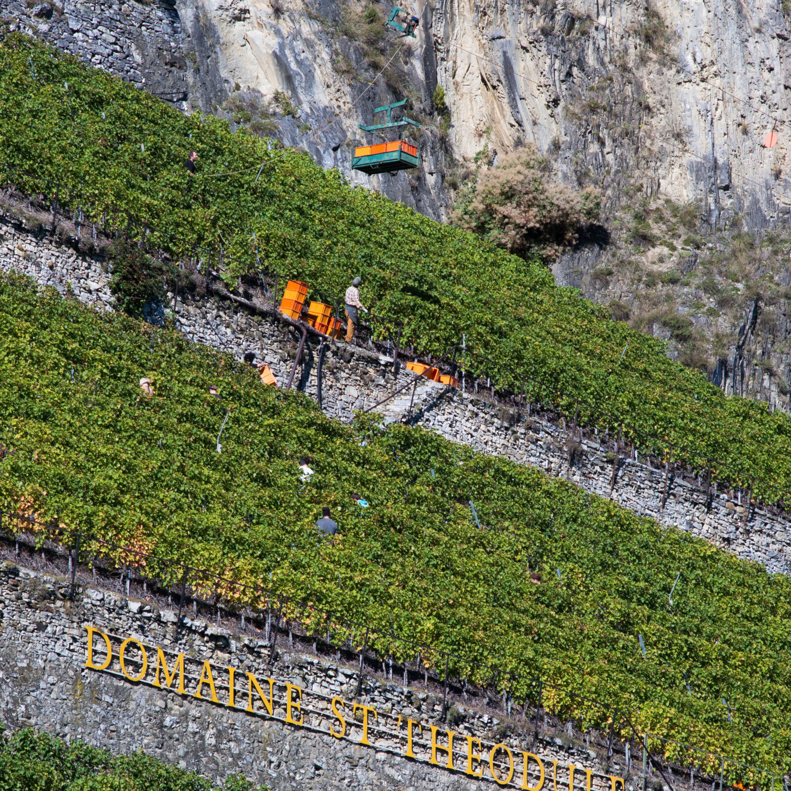 Cd809b9a a9bc 431c ab58 d680226c4813