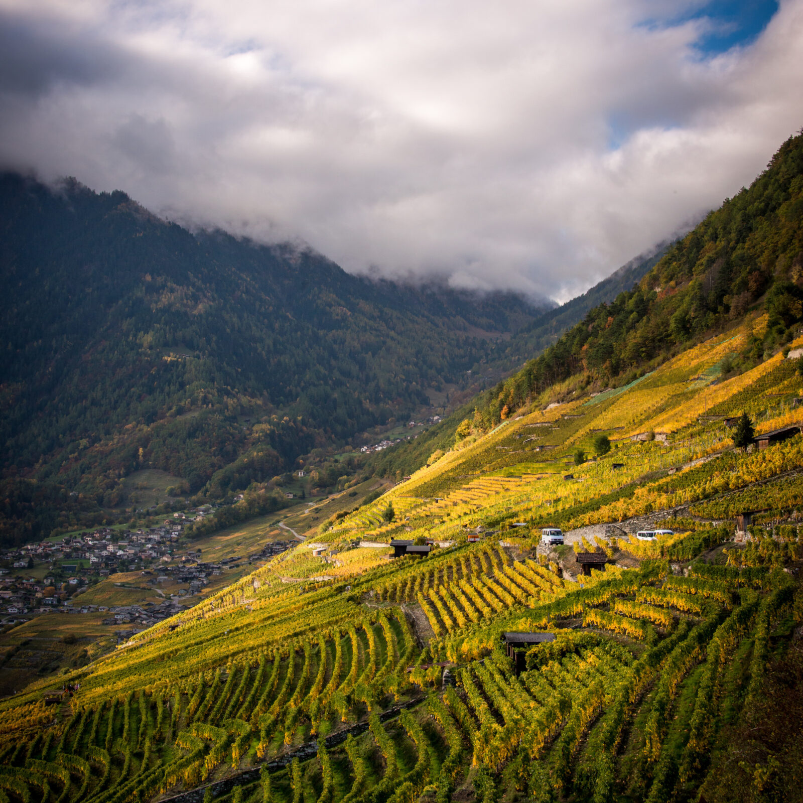 Dba82ff2 a7ba 44c2 825a 688b71fe6bcc