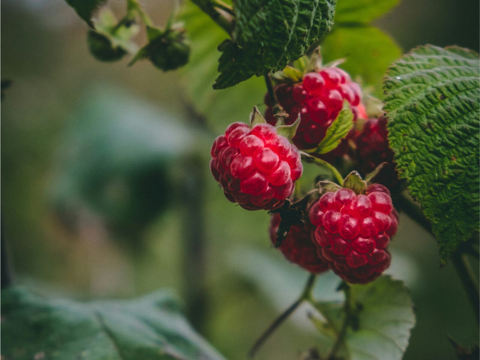 Bildgroesse Newsletter 8