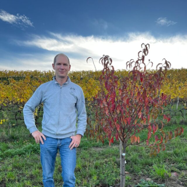 Portrait Domaine YM