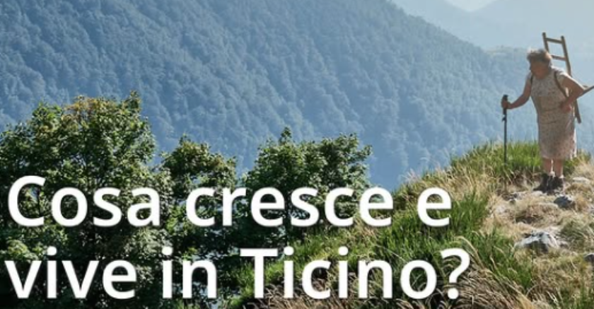 Cosa cresce Instagram