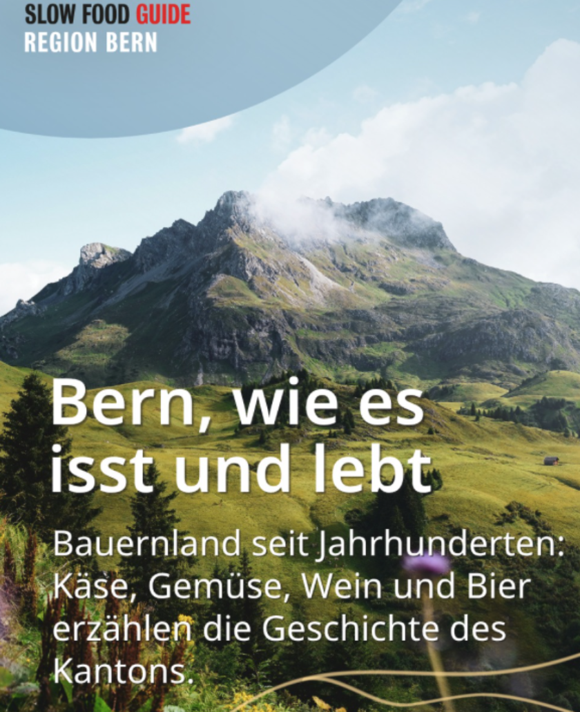 IG Bern1