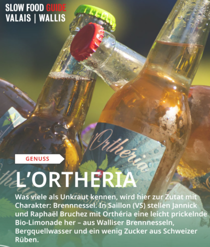 IG Wallis Empfehlungen