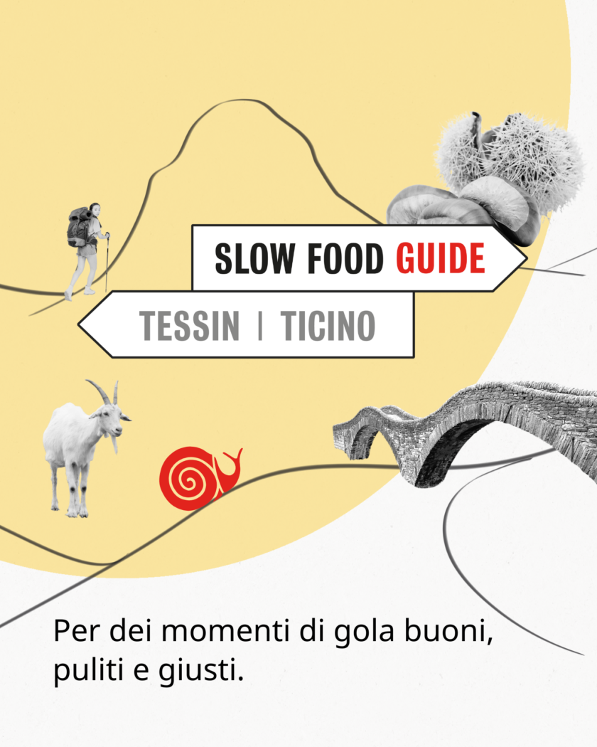 IT Guide Announcement