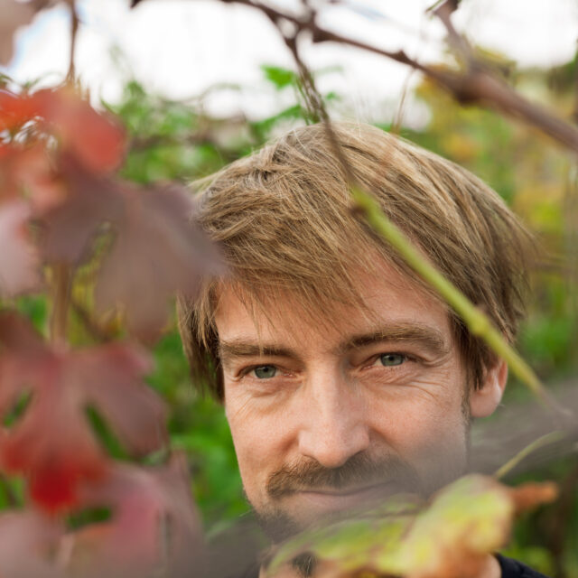 Portrait Domaine Les Dryades